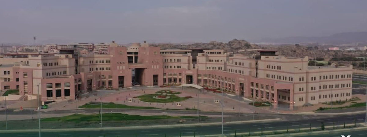 الأولمبياد الوطني للإبداع العلمي